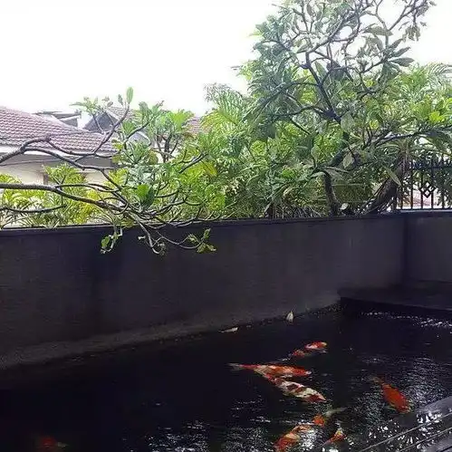 这些鱼池,看看都觉得过瘾