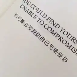 伪装的太好,我始终看不清