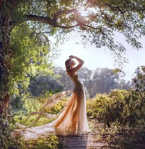 怎么培养对摄影作品的鉴赏和介绍能力