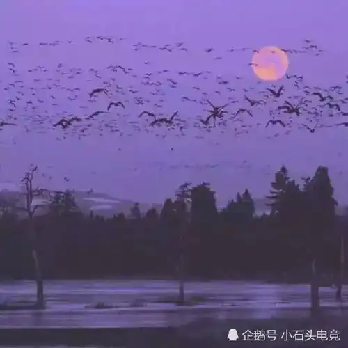 ins少女心背景图满屏紫色气息,你有被get了吗