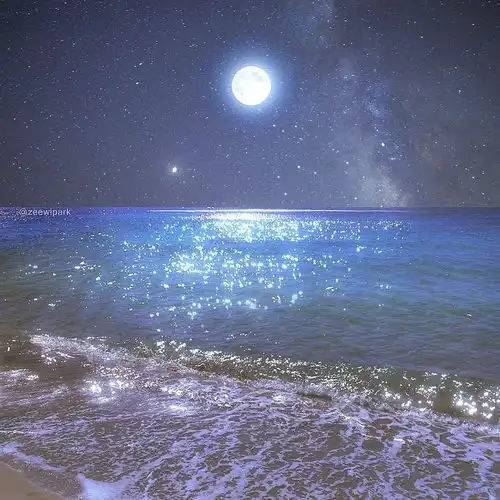 收集一些令人心动的句子