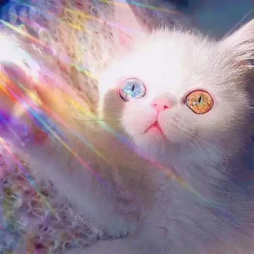 油画棒头像女生仙气靠我