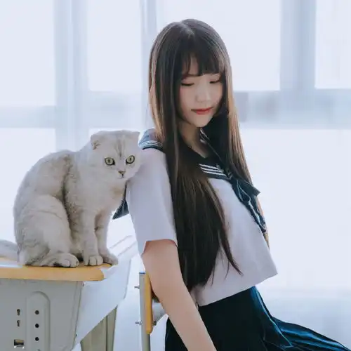 不想治愈的伤dj杨洋高音质在线试听不想治愈的伤歌词歌曲下载酷狗音乐