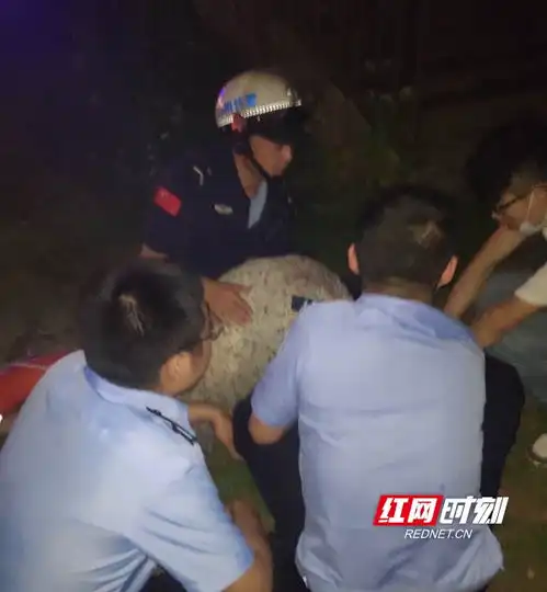 邵阳快警施救落水女孩脱险