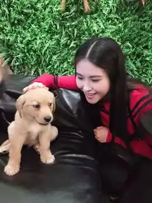 经济学院研究生女神杨硕山理女神第29期