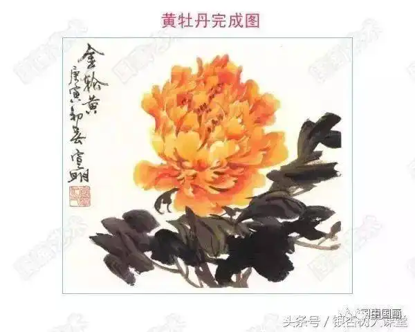 牡丹九大色系特点与画法,你学会了吗