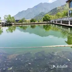 电话,地址,价格,营业时间景宁畲族自治县美食