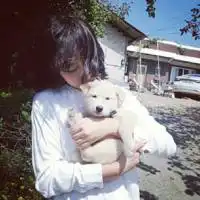 好看的qq头像女生有些人不能失去却不得不放手3