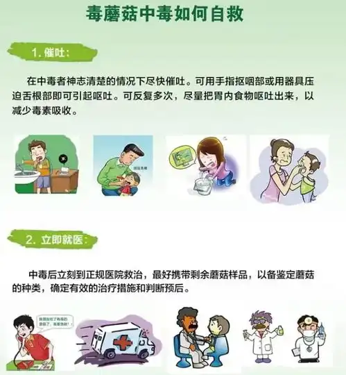 在文山,没有野生菌的夏天是不完整的