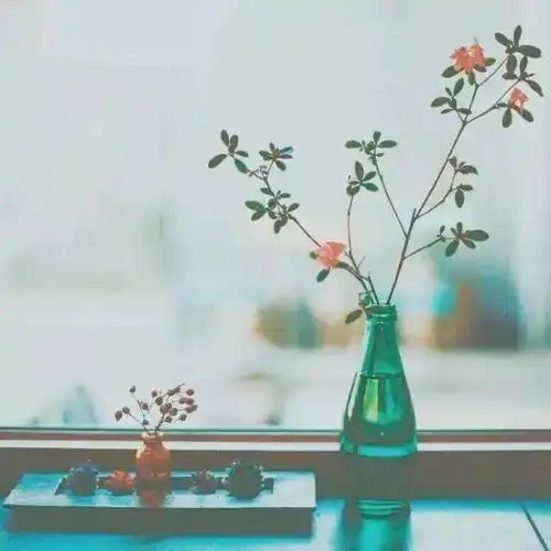 人的身体跟灵魂真的可以分开放