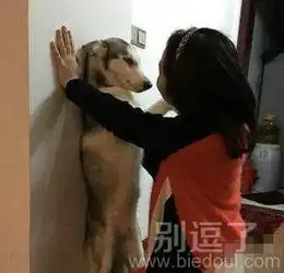 女汉子笑话搞笑女汉子精选爆笑女汉子大全第77页别逗了