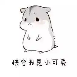 晒时装赢大奖变装大佬快来秀图