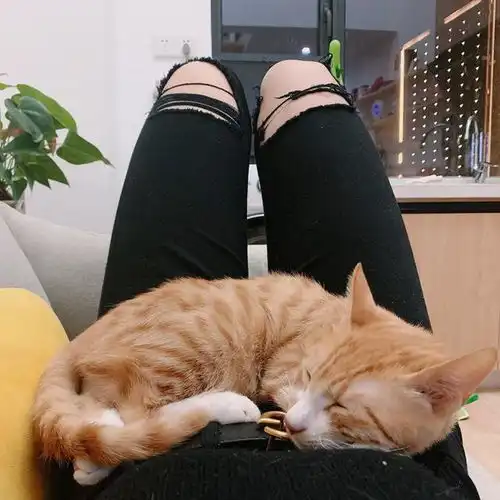 因疫情各国纷纷撤侨,这两个外国女孩却选择为它们坚守