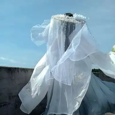 温柔古风部位女头迈向光明之路注定荆棘丛生