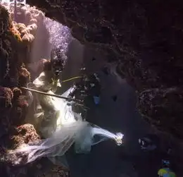 加摄影师水下拍摄美女与鲨鱼和谐共舞