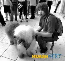 宠物争霸五项大奖名花有主