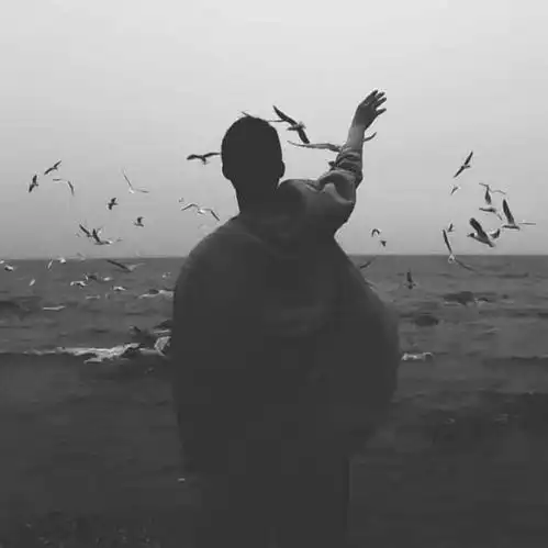 有没有好看的壁纸头像