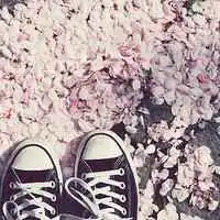 穿着帆布鞋的图片头像女生气质微信头像图片大全