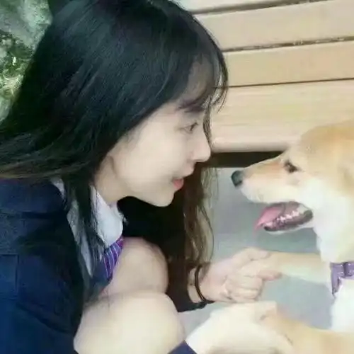 跪求这个情头的另一半另一半是那只狗狗