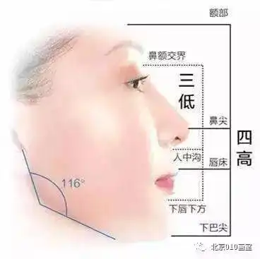 素描头像全讲解,让美术生全面了解素描头像第一期