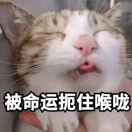 考上研学员的5点特质你有没有