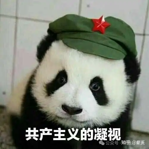 欧美国家放弃电车,马斯克为何躺枪