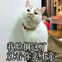 猫咪亲亲的表情包微信头像图片大全