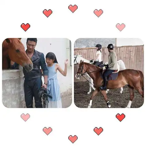 胡军用骑马锻炼女儿的胆商和逆商哪里跌倒就从哪里站起来