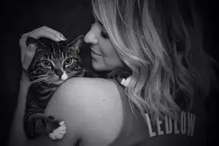 场边女记者,赛后的一道亮丽风景线