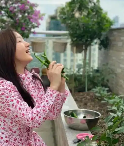 杨钰莹在自家花园摘菜用不锈钢盆超接地气,皮肤白皙水嫩似少女