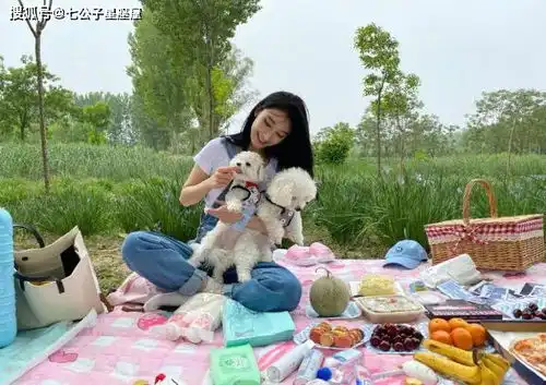 十二生肖中,财运极佳,唯有暴富,的4个生肖
