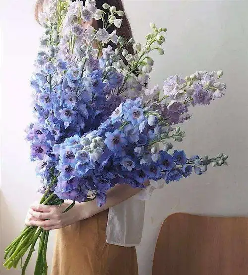花艺自带仙气的紫色花材,2022属于你的流行色