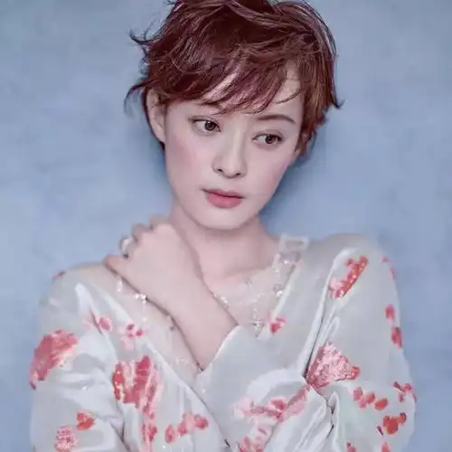刘诗诗剪完短发变龚琳娜