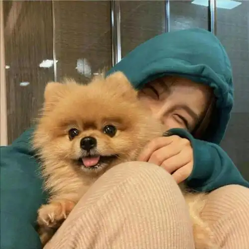 短句认真做个快乐的普通人