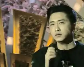 那些年我们在电视机前等待过的春晚港台歌星5