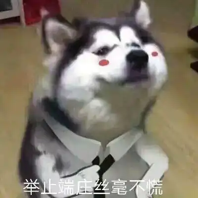 搞笑头像女生简单干净狗