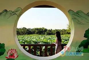 夏从荷来美在荷处