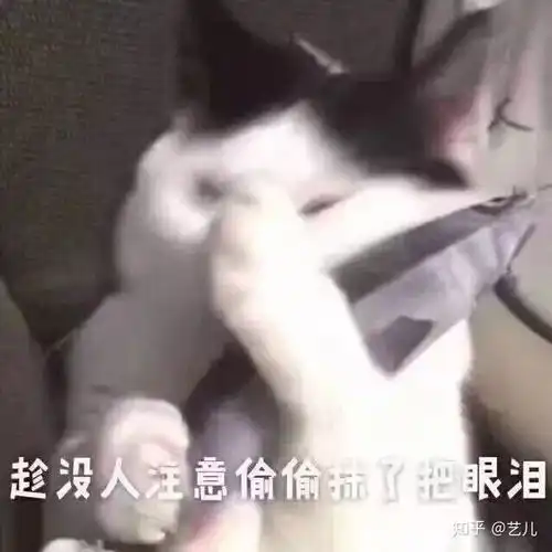 一心向佛的头像女家长群