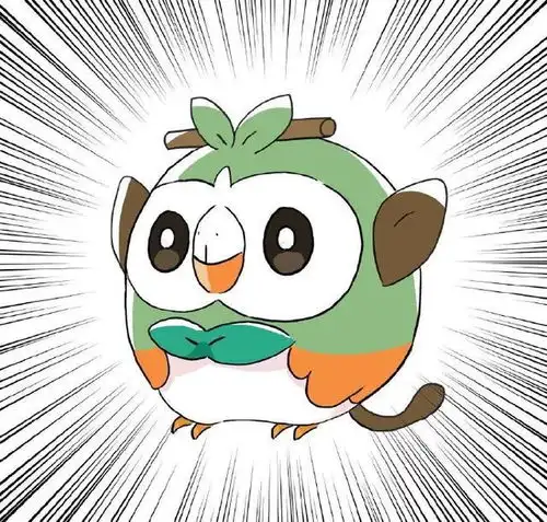 日本网友最会cos的宝可梦原来不是百变怪而是木木枭