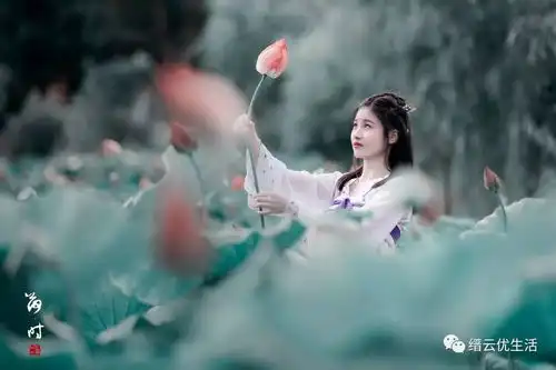 穿越千年缙云女子怀梦绽放如初莲