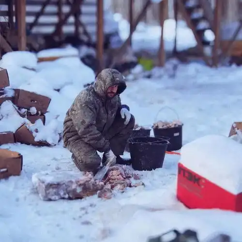 这个俄罗斯美女摄影师,为了100只狗狗隐居山中