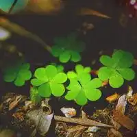 荧光绿色头发微信头像图片大全