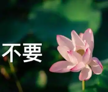 有哪些适合给长辈发的表情包