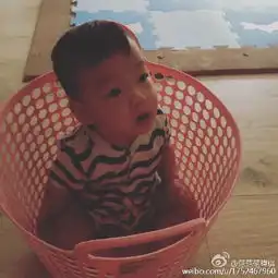 范玮琪爱子被放塑料筐睁大眼睛往外张望