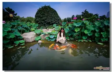 大唐芙蓉园赏花季荷花映日美女来