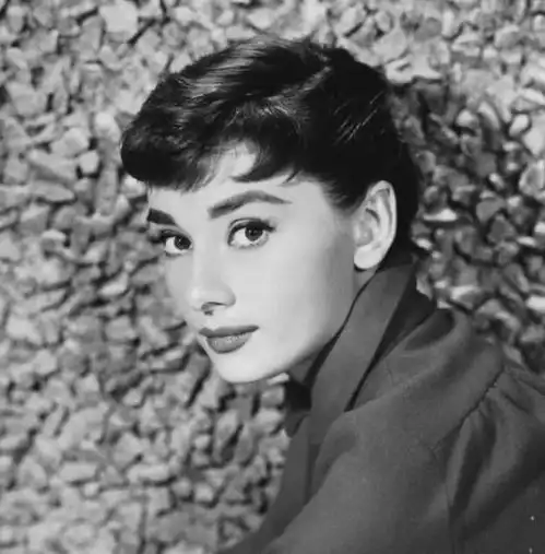 奥黛丽赫本曾居住30年的故居出售,挂牌1.65亿元