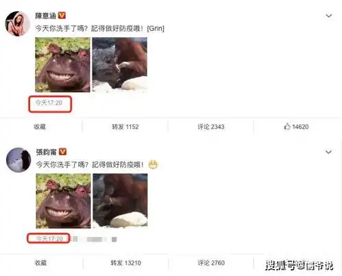 闺蜜情变张钧甯陈意涵同步发文破传闻,连时间都藏着浓浓的爱
