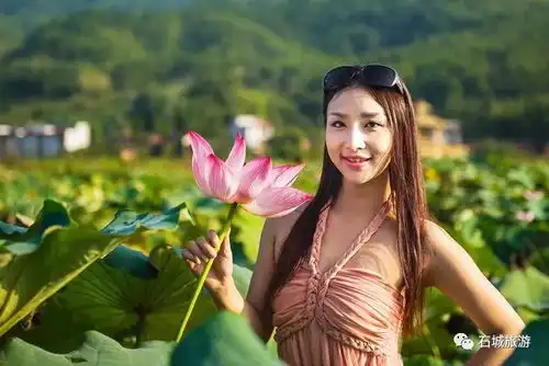 石城莲乡花绽放,美女荷花相映红