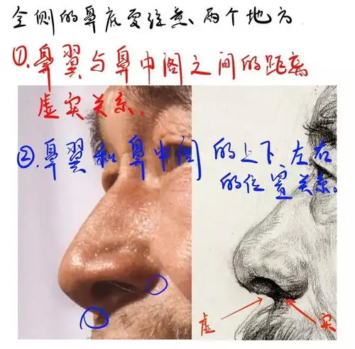 如何画好头像的鼻子不要再往鼻头上画些奇奇怪怪的东西啦