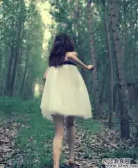 关注高考专业课vs文化课孰轻孰重